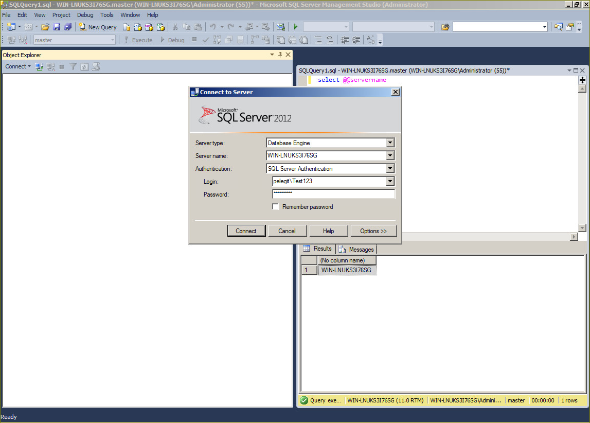 Viewing SQL Server