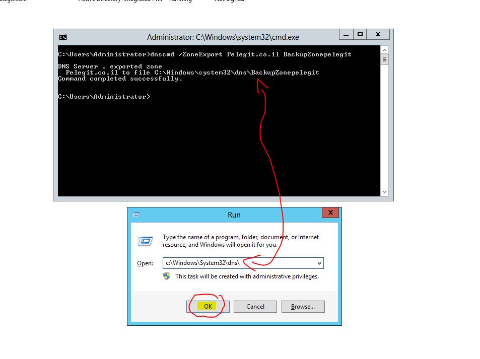 export Zone in DNS