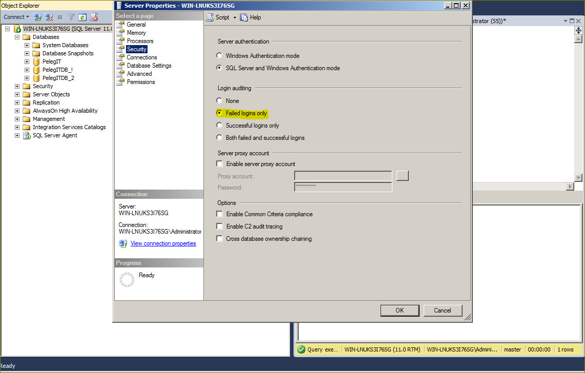 Viewing SQL Server