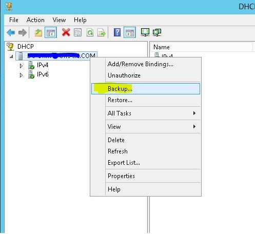 backup DHCP server backup