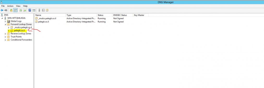 export Zone in DNS