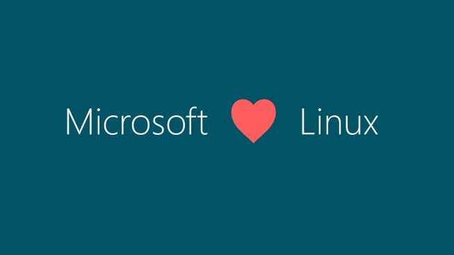 ms loves linux