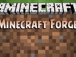 Minecraft Forge 1.16.5 1