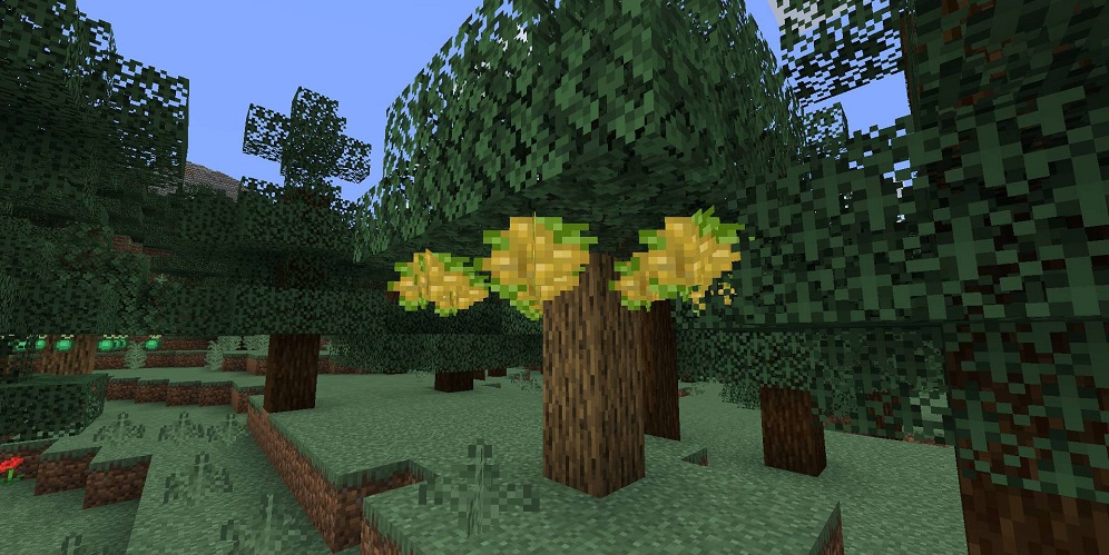 Pam’s HarvestCraft 2 – Trees Mod 1.16.5 | 1.15.2 - Screenshot 1