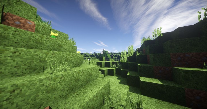 Realistic Swag Realistic Resource Packs 1 8 9 Realistic Texture Packs